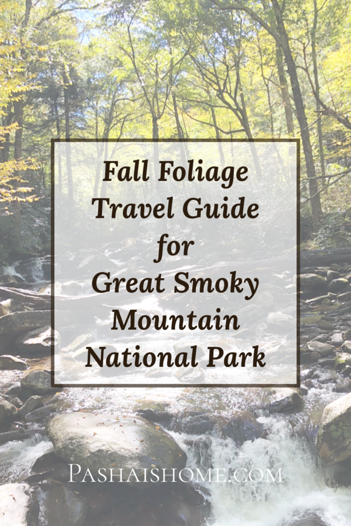 Great Smoky Mountain National Park Leaf Peeping Trip.  Also known as a fall foliage trip to see fall foliage in Great Smoky Mountain National Park.  Waterfalls, leaves, and nature - oh my!
