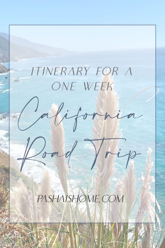 One week California road trip pinterest pin with pampas grass blowing along the ocean shore