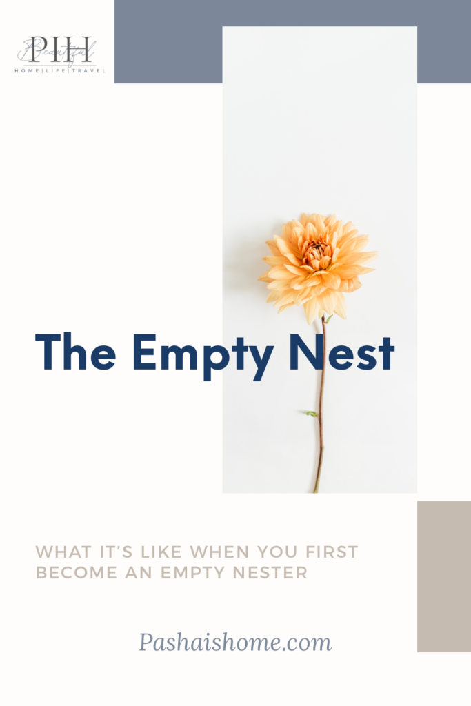 empty nest syndrome empty nesters