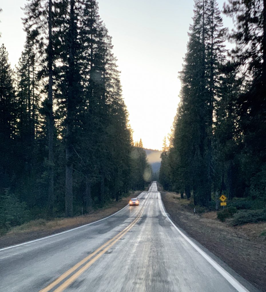 One week California road trip view of the road to Mount Shasta at dawn