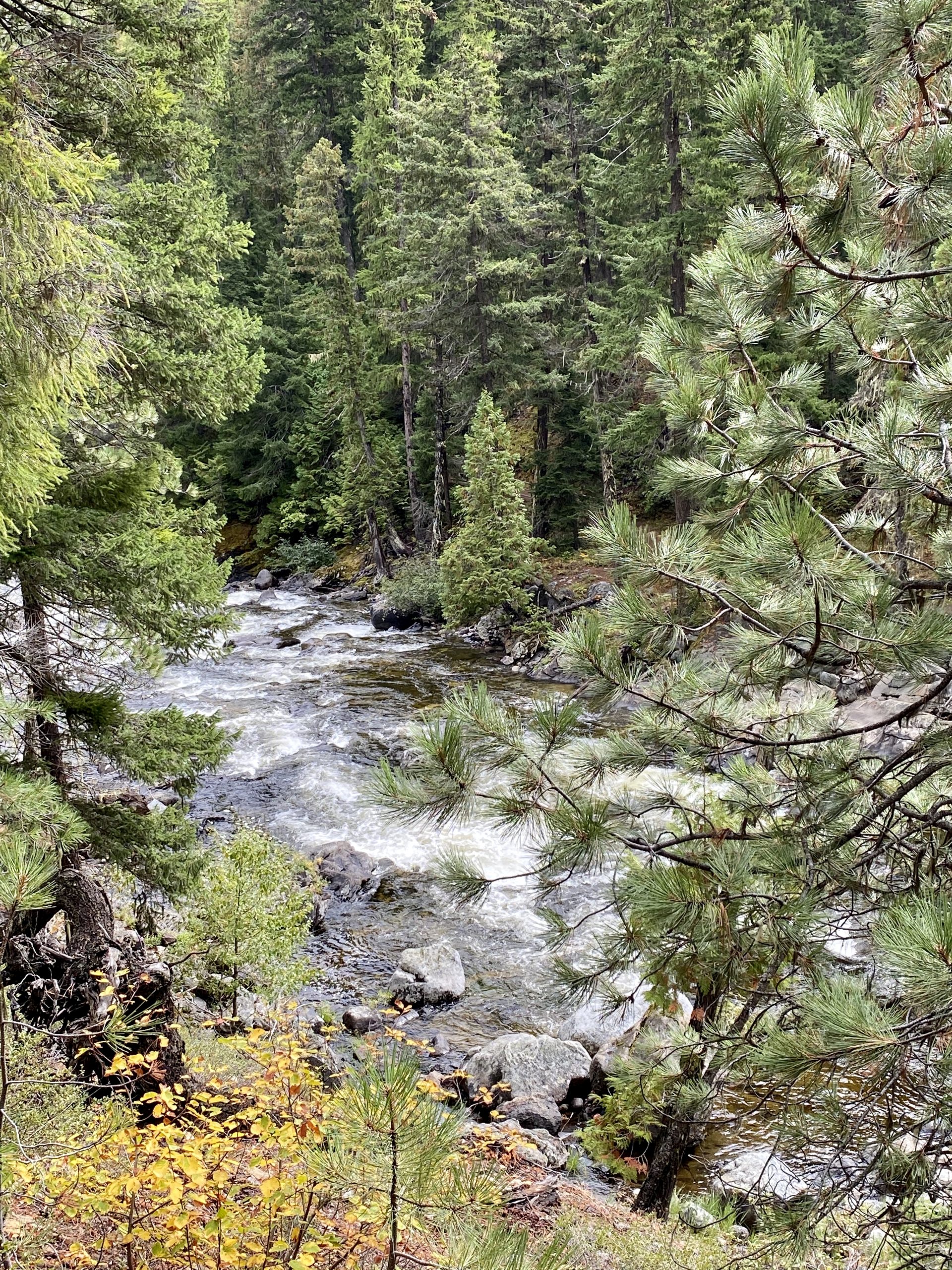 How to Spend Seven Fall Days in the Pacific Northwest including Leavenworth, WA
