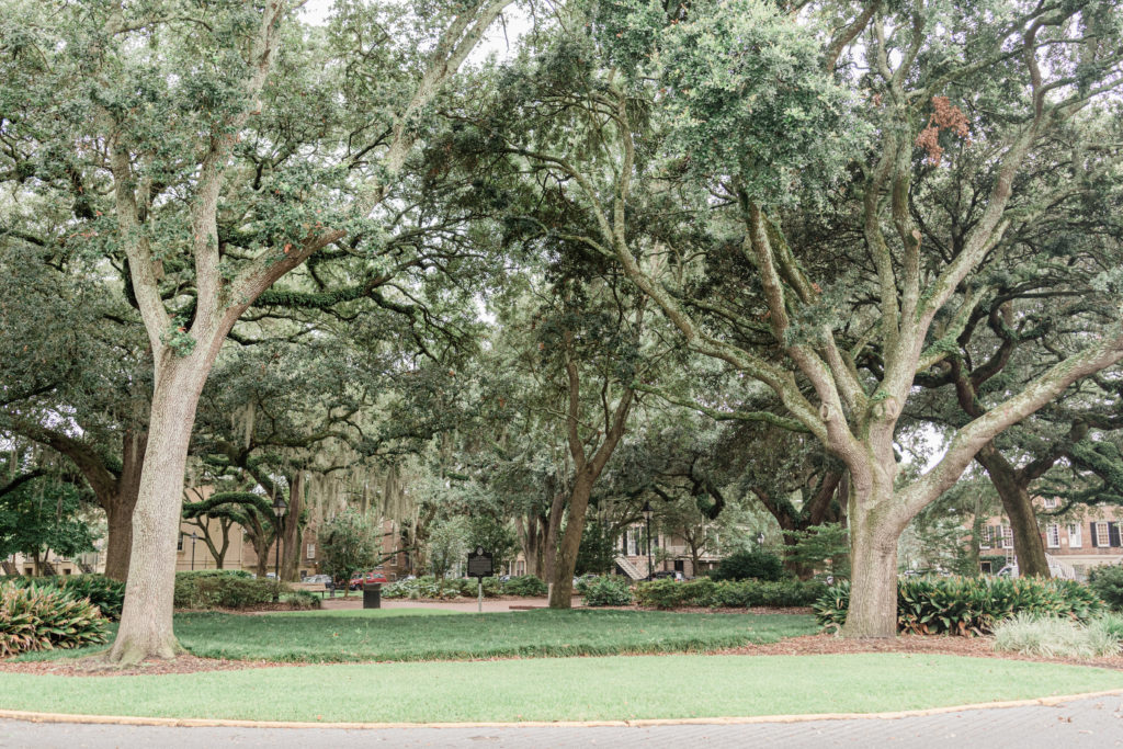 savannah georgia three day itinerary flytographer with Spanish moss trees in a city square