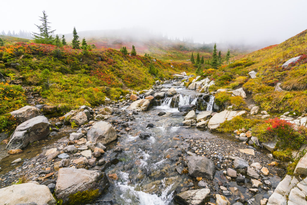 How to spend two fall days in Mount Rainier National Park.  Including where to stay and eat and what to do in Mount Rainier National Park.  A perfect list of options for a two day fall getaway or even longer at Mount Rainier National Park.  Options for activities in Mount Rainier National Park include wildflower viewing, hiking, and climbing.  ​#mountrainier #falltravel #fallgetaway #nationalparktravel #travelguides 