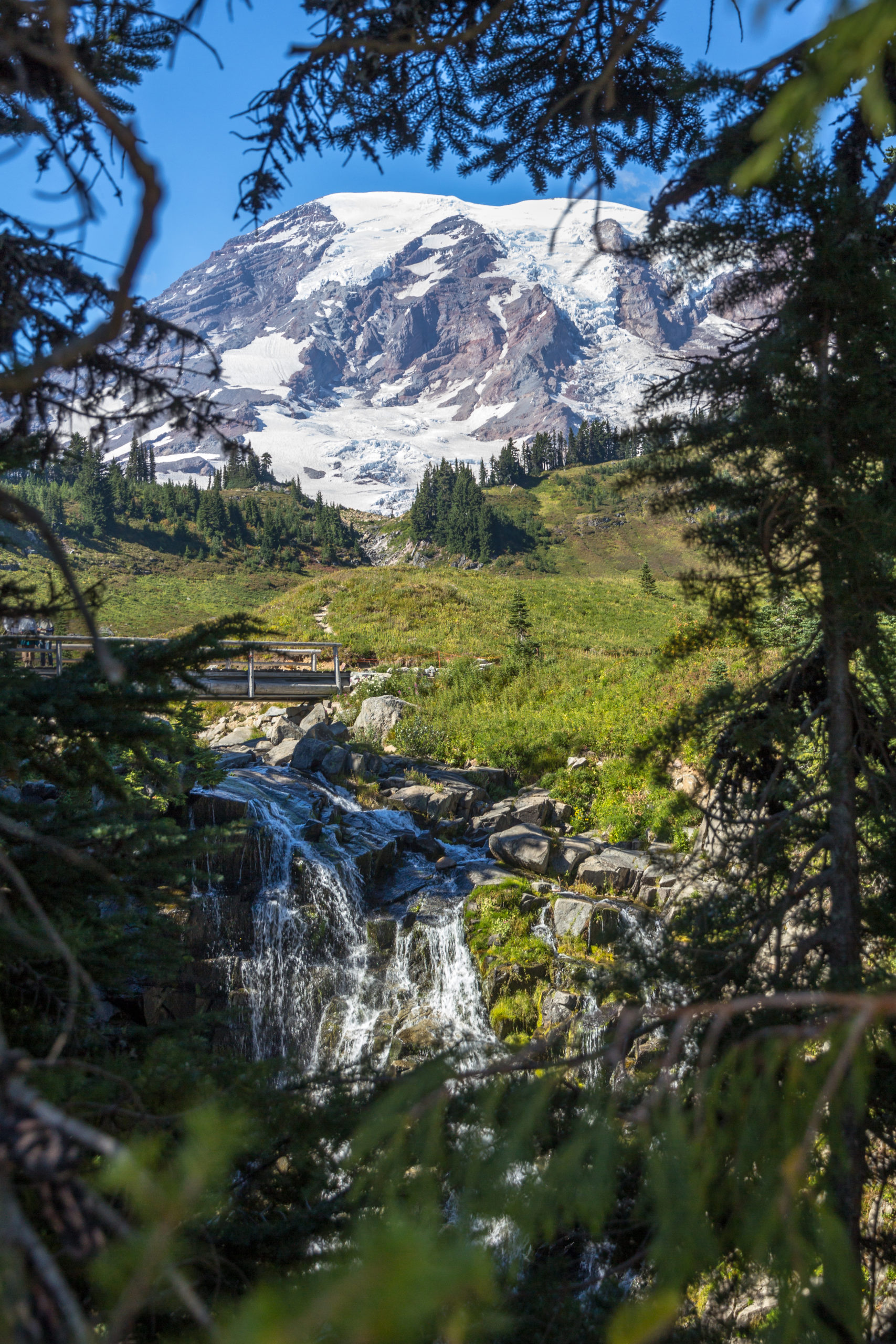 How to Spend Two Fall Days in Mount Rainier National Park