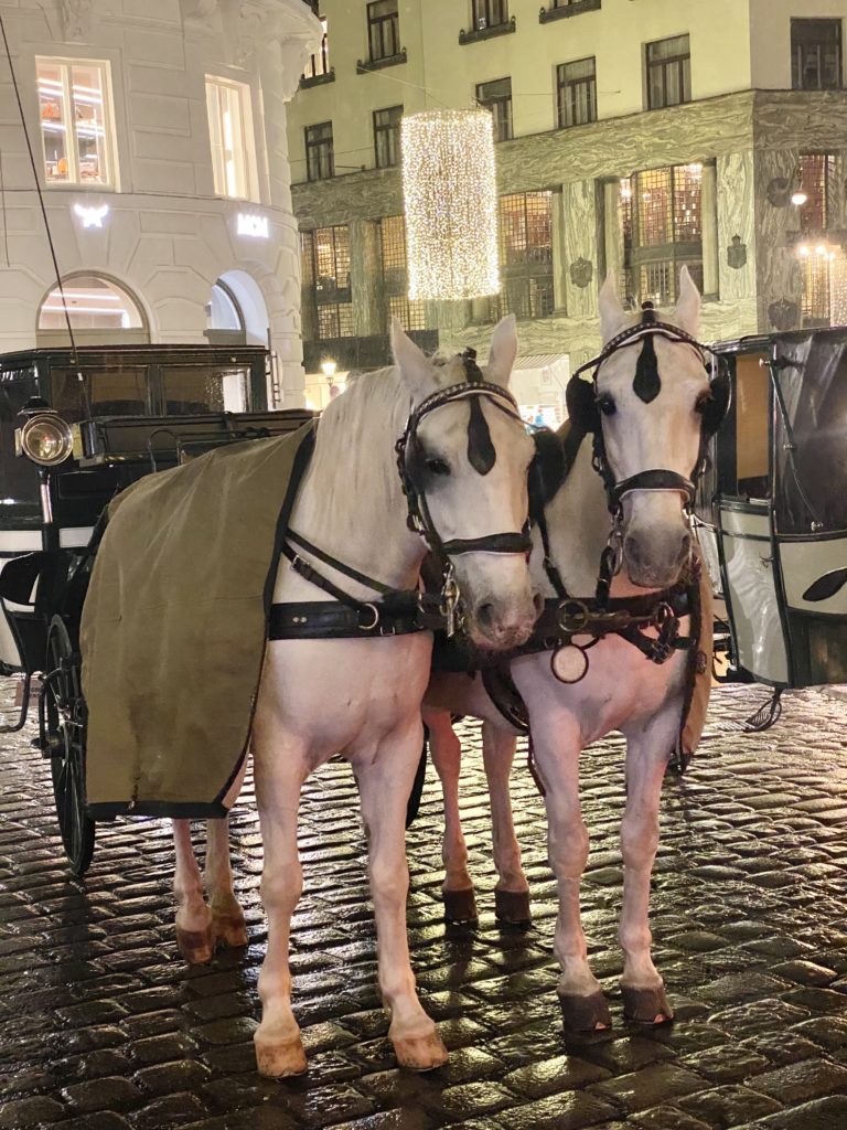 Photo is of horses in Vienna plaza at Christmas.

#europeanchristmasmarkets #europeantravel #viennachristmasmarket #viennachristmas #christmasinvienna