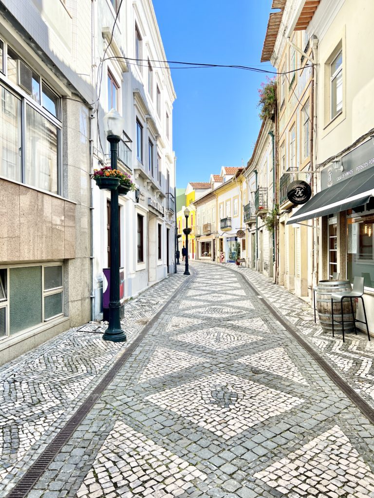 Epic day trips to Coimbra & Aveiro from Porto | Day trips from Lisbon | Portugal day trips | What to do in Coimbra Portugal | What to do in Aveiro Portugal | What to do in Costa Nova | How to get to Aveiro | Portugal travel | Portugal Itinerary 10 Days

#portugaltravel #europetravel #portugalitinerary10days