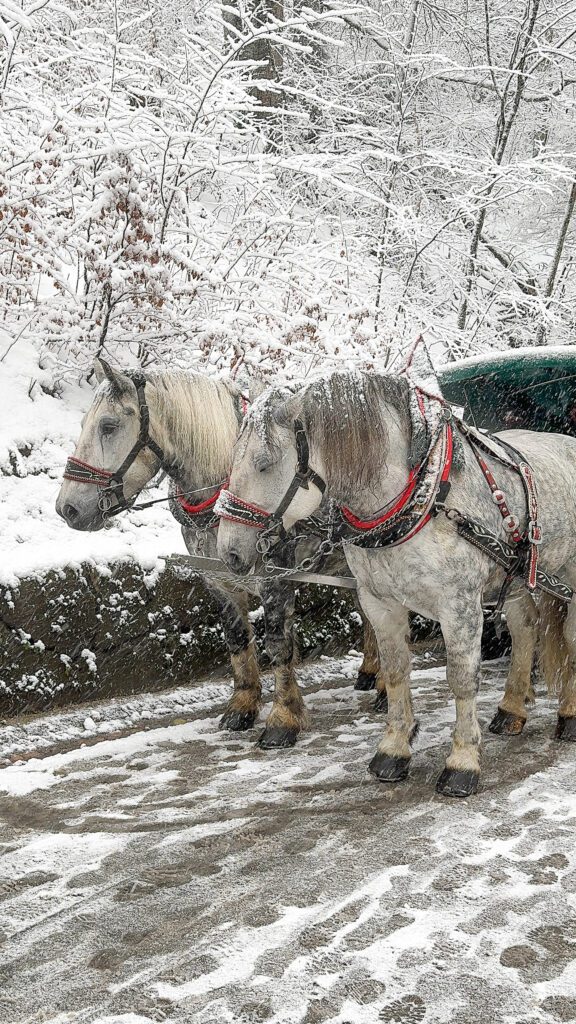 A Winter Day Trip Guide to Neuschwanstein Castle and Füssen Germany | Everything you need to know for a day trip to Neuschwanstein Castle and Fussen | Best day trips from Munich | How to do a day trip from Munich to Neuschwanstein Castle | How much time to spend in Fussen Germany | A snowy winter visit to Neuschwanstein Castle and Fussen in Bavaria Germany | Marienbrucke at Neuschwanstein Castle | What you need to know for a Neuschwanstein Castle visit 