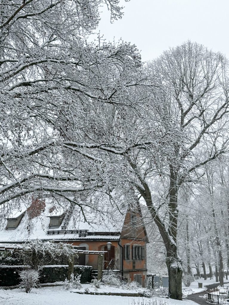 The Ultimate Guide for a Christmas time day trip to Rothenburg ob der Tauber from Nuremberg in Germany | How to do a day trip to the Rothenburg ob der Tauber christmas market | When is the Rothenburg ob der Tauber Christmas market | Best day trips from Nuremberg | What to do in Rothenburg ob der Tauber in December 