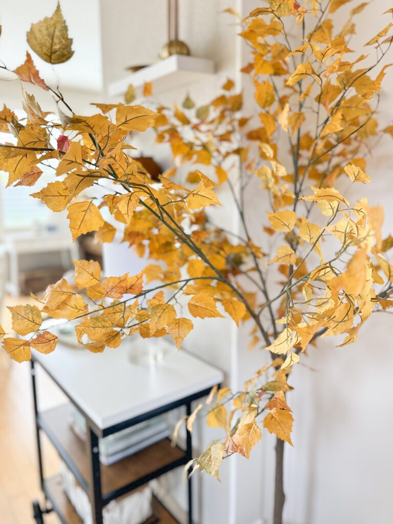 Top eleven new fall decor finds this year | Items ranging from pillows to candelabras to icon cups from Anthropologies to decorate your home for fall season | Ideas for how to minimally decorate your home for autumn | Minimal fall decor | New fall decor finds to decorate elegantly with | How to have a sophisticated and thoughtfully decorated house for the autumn season