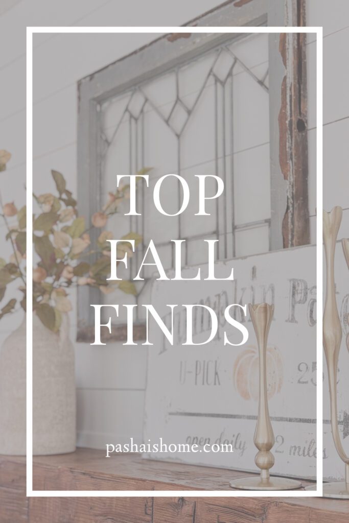 Top eleven new fall decor finds this year | Items ranging from pillows to candelabras to icon cups from Anthropologies to decorate your home for fall season | Ideas for how to minimally decorate your home for autumn | Minimal fall decor | New fall decor finds to decorate elegantly with | How to have a sophisticated and thoughtfully decorated house for the autumn season