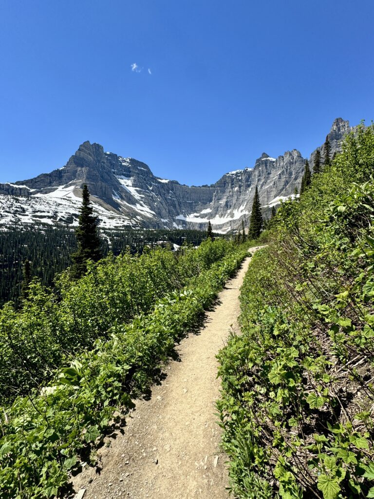 Best things to see and do in Glacier National Park | Best moderate hikes in Glacier National Park | Things to do in Glacier National Park if you are over 50 years old | What to do in Glacier National Park if you are older | How to plan the perfect Glacier National Park itinerary | Red Bus tour in Glacier National Park | How to spend a week in Glacier National Park | Glacier National Park 7 day itinerary | Glacier National Park travel tips 