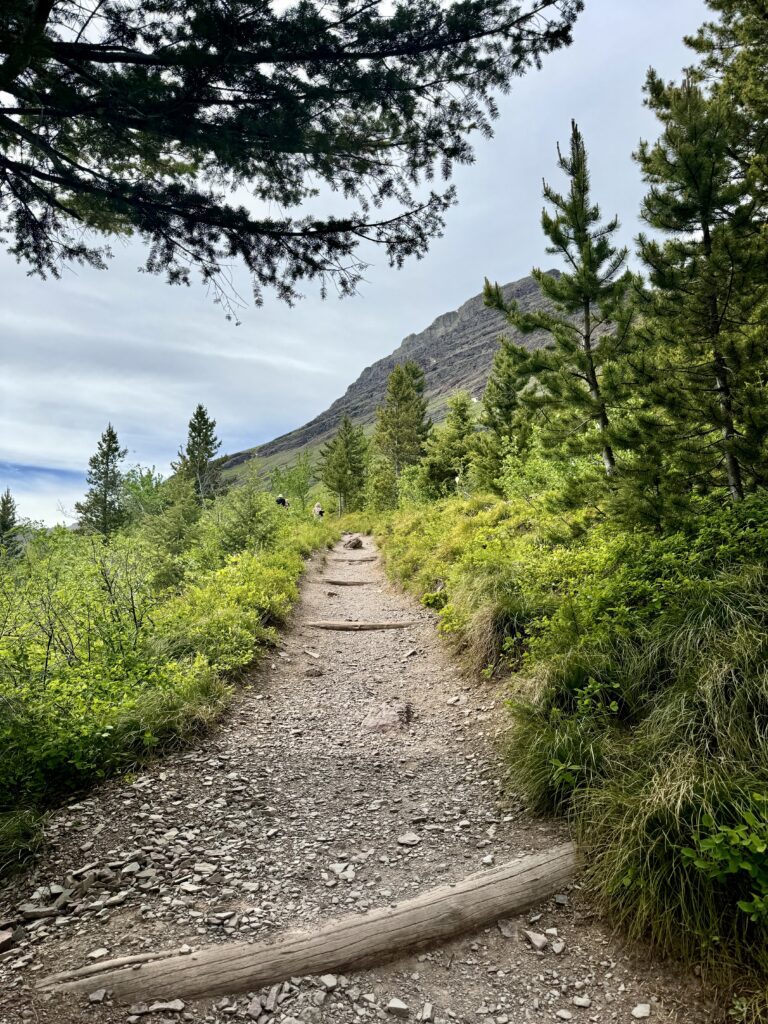 Best things to see and do in Glacier National Park | Best moderate hikes in Glacier National Park | Things to do in Glacier National Park if you are over 50 years old | What to do in Glacier National Park if you are older | How to plan the perfect Glacier National Park itinerary | Red Bus tour in Glacier National Park | How to spend a week in Glacier National Park | Glacier National Park 7 day itinerary | Glacier National Park travel tips 