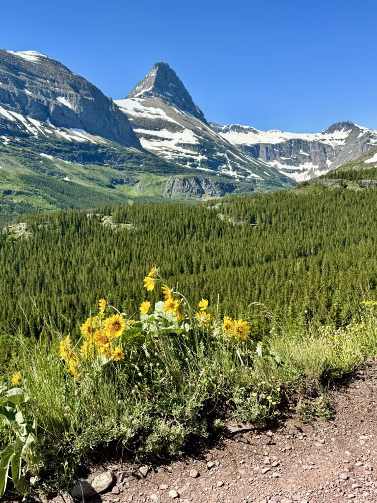 Best things to see and do in Glacier National Park | Best moderate hikes in Glacier National Park | Things to do in Glacier National Park if you are over 50 years old | What to do in Glacier National Park if you are older | How to plan the perfect Glacier National Park itinerary | Red Bus tour in Glacier National Park | How to spend a week in Glacier National Park | Glacier National Park 7 day itinerary | Glacier National Park travel tips 