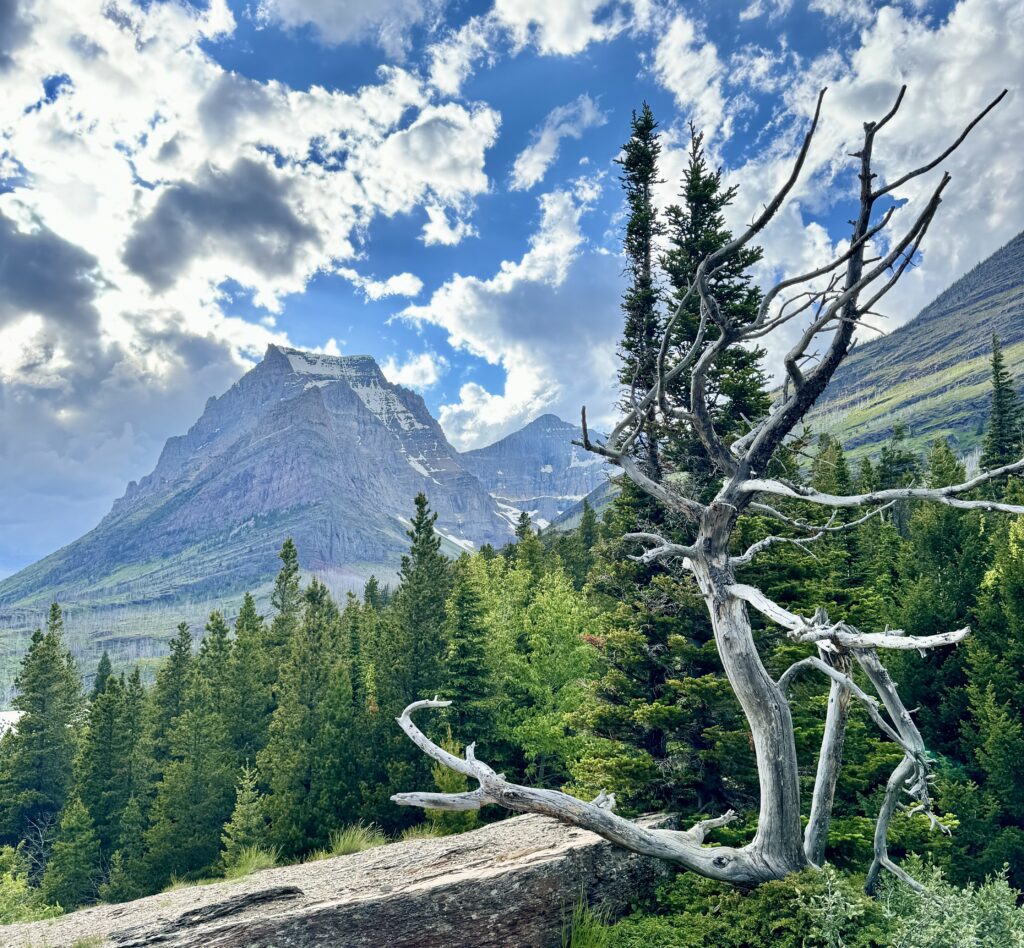 Best things to see and do in Glacier National Park | Best moderate hikes in Glacier National Park | Things to do in Glacier National Park if you are over 50 years old | What to do in Glacier National Park if you are older | How to plan the perfect Glacier National Park itinerary | Red Bus tour in Glacier National Park | How to spend a week in Glacier National Park | Glacier National Park 7 day itinerary | Glacier National Park travel tips 