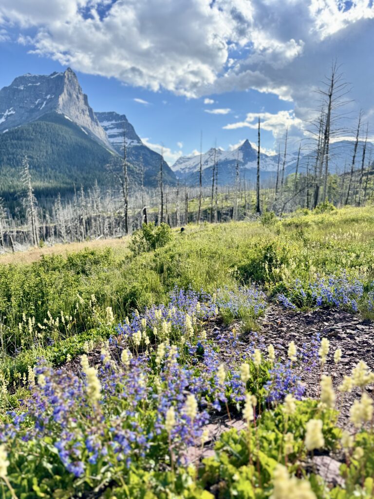 Best things to see and do in Glacier National Park | Best moderate hikes in Glacier National Park | Things to do in Glacier National Park if you are over 50 years old | What to do in Glacier National Park if you are older | How to plan the perfect Glacier National Park itinerary | Red Bus tour in Glacier National Park | How to spend a week in Glacier National Park | Glacier National Park 7 day itinerary | Glacier National Park travel tips 