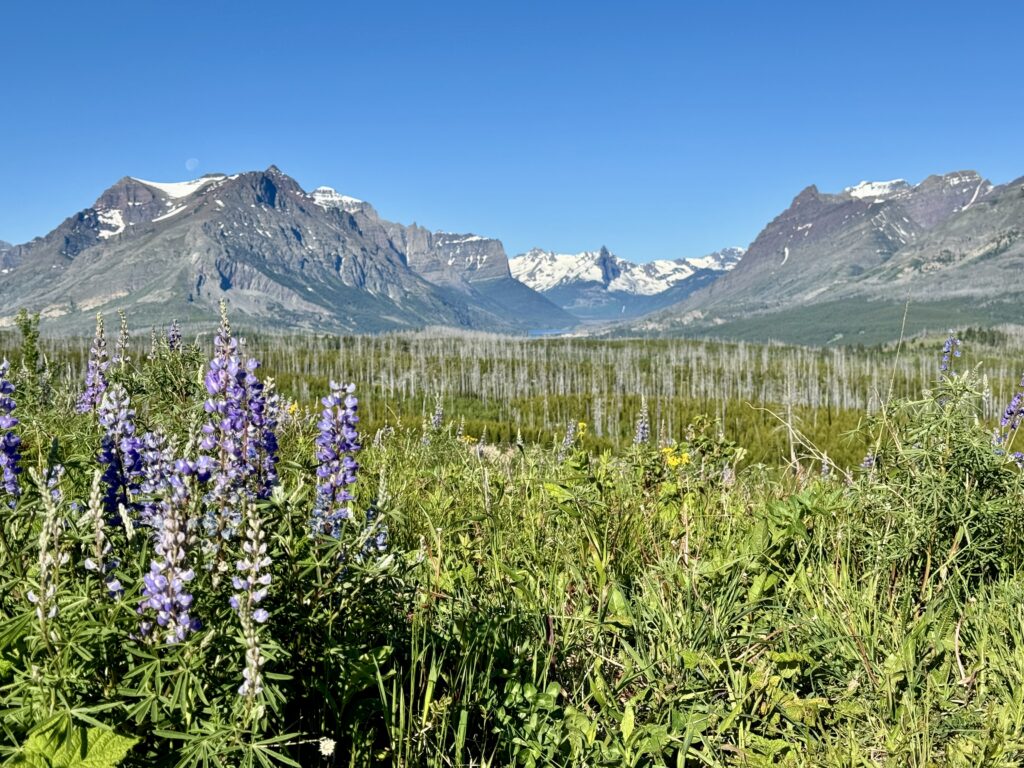 Best things to see and do in Glacier National Park | Best moderate hikes in Glacier National Park | Things to do in Glacier National Park if you are over 50 years old | What to do in Glacier National Park if you are older | How to plan the perfect Glacier National Park itinerary | Red Bus tour in Glacier National Park | How to spend a week in Glacier National Park | Glacier National Park 7 day itinerary | Glacier National Park travel tips 