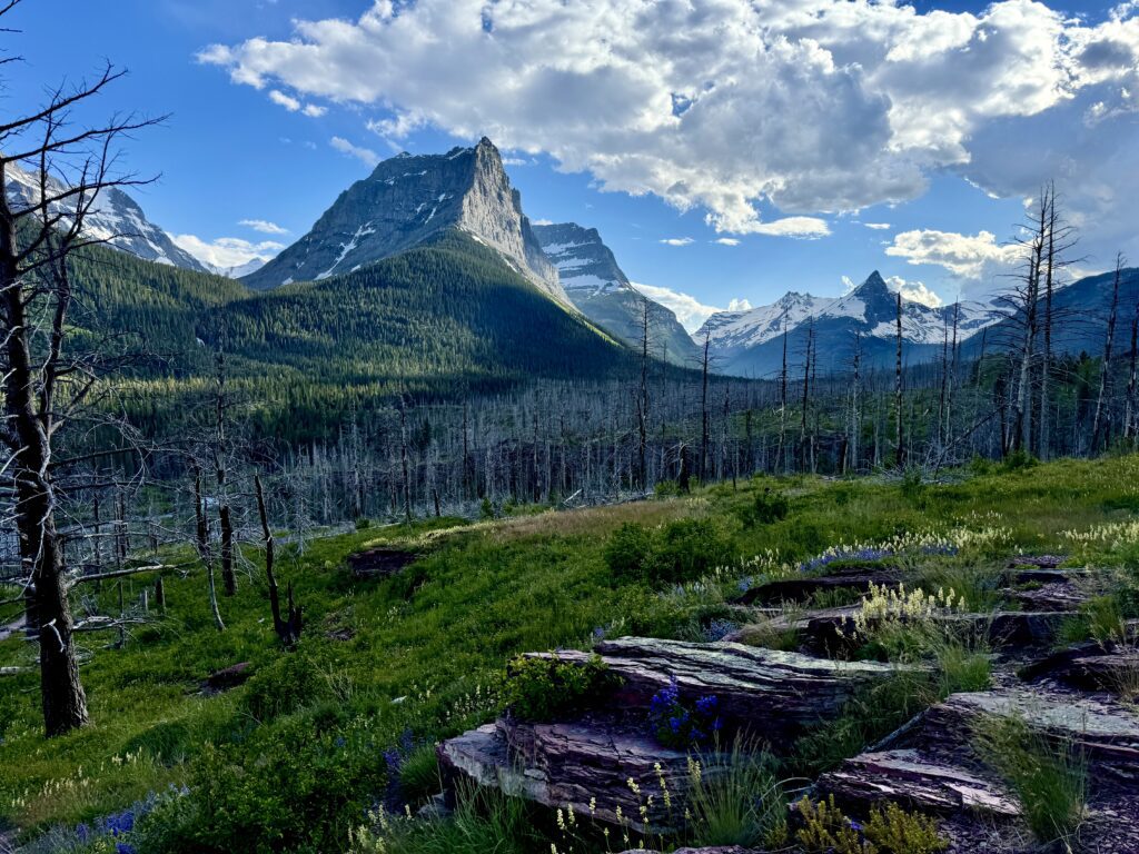 Best things to see and do in Glacier National Park | Best moderate hikes in Glacier National Park | Things to do in Glacier National Park if you are over 50 years old | What to do in Glacier National Park if you are older | How to plan the perfect Glacier National Park itinerary | Red Bus tour in Glacier National Park | How to spend a week in Glacier National Park | Glacier National Park 7 day itinerary | Glacier National Park travel tips 