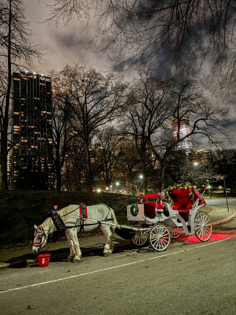 NYC at Christmas Time | What to do in New York City at Christmas time | Top things to see and do in New York at Christmas | A Christmas time guide to New York CIty | How to spend 3 days in Manhattan in December | Christmas in New York | Top sights in NY in December | Macy's Herald Square Christmas windows | NYC holiday markets | NYC Union Square holiday market | Central Park in December 