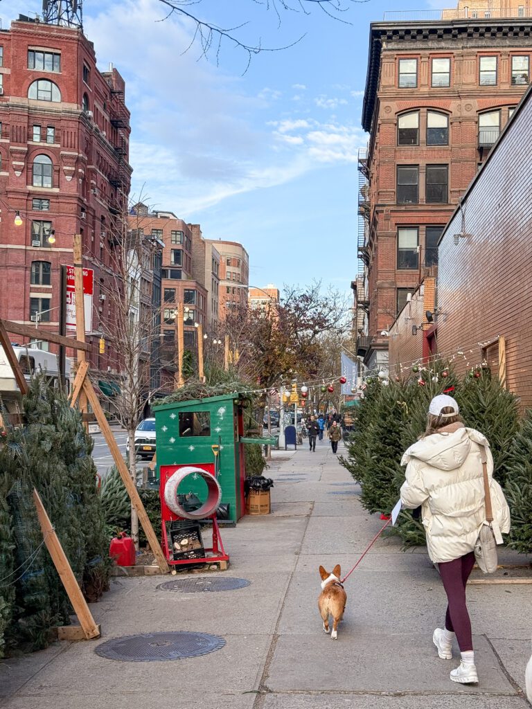 NYC at Christmas Time | What to do in New York City at Christmas time | Top things to see and do in New York at Christmas | A Christmas time guide to New York CIty | How to spend 3 days in Manhattan in December | Christmas in New York | Top sights in NY in December | Macy's Herald Square Christmas windows | NYC holiday markets | NYC Avenue of the Americas holiday decor | Drinks at the Carlyle NYC | Where to find festive townhouses in the Upper East Side of Manhattan | Madison Avenue decorations | The Met Museum Christmas Tree | Where to eat in NYC before seeing a Broadway play