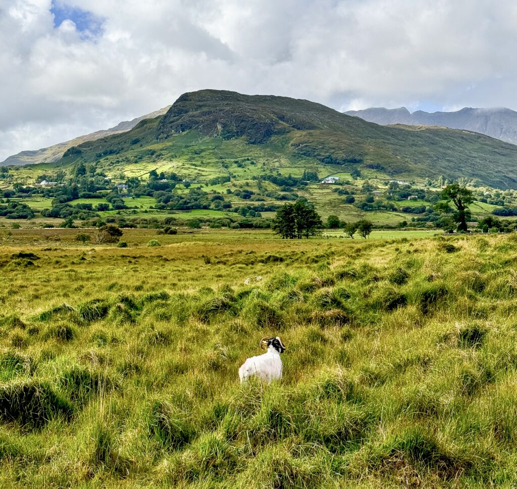 The ultimate Galway Ireland travel guide | Where to stay in Galway Ireland | What to see and do in Galway Ireland | Best luxury hotel in Galway Ireland | Where to stay in Ireland | Visiting Connemara Ireland | Driving the Wild Atlantic Way in Ireland | Best day trips from Galway | Visiting Cliffs of Moher from Galway | Tips for a Galway Ireland itinerary | How many days to spend in Galway Ireland 