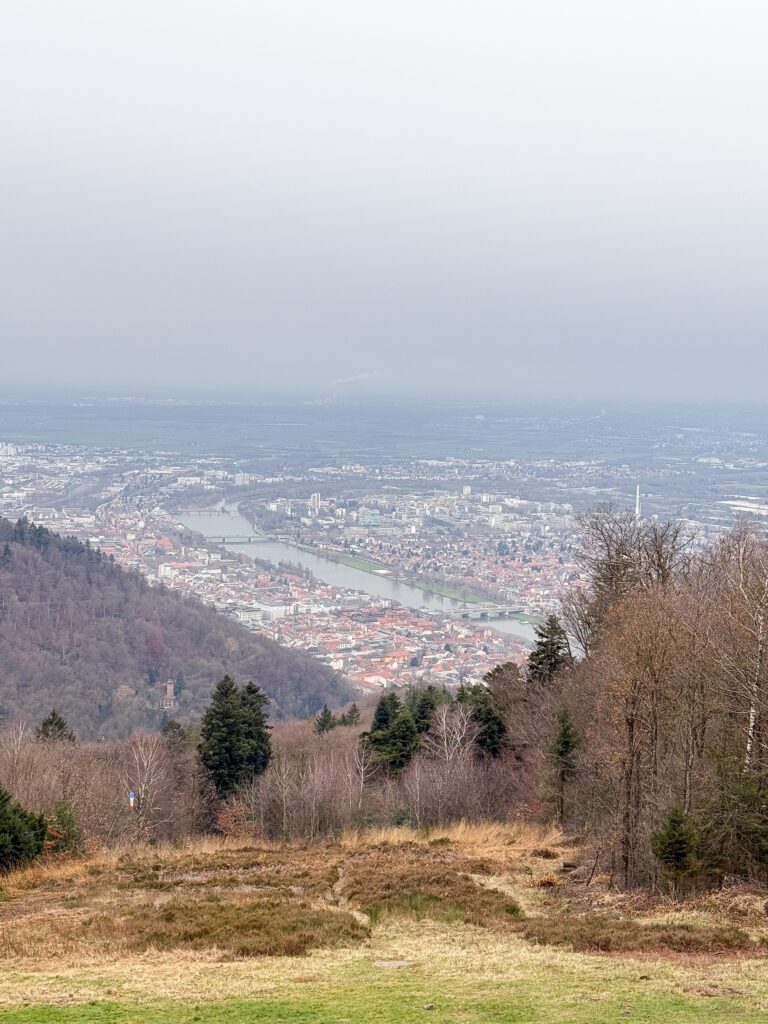 A Complete Heidelberg Germany at Christmas Time Travel Guide | Where to stay in Heidelberg | Best hotels in Heidelberg | 5 star hotels in Heidelberg | Visiting Heidelberg's Christmas Market | Where to eat in Heidelberg | Top 5 things to do in Heidelberg at Christmas Time | Visiting the Heidelberg Castle | Walking the Philosophers Way in Heidelberg | What to see in Heidelberg | How many days should I spend in Heidelberg for the Christmas Markets? | What to wear when visiting Heidelberg Christmas Markets | How to get to Heidelberg | Where else should I visit in Germany after Heidelberg? | Trains in Germany | Reviews of Hutter House - Heidelberg Suites Boutique Hotel