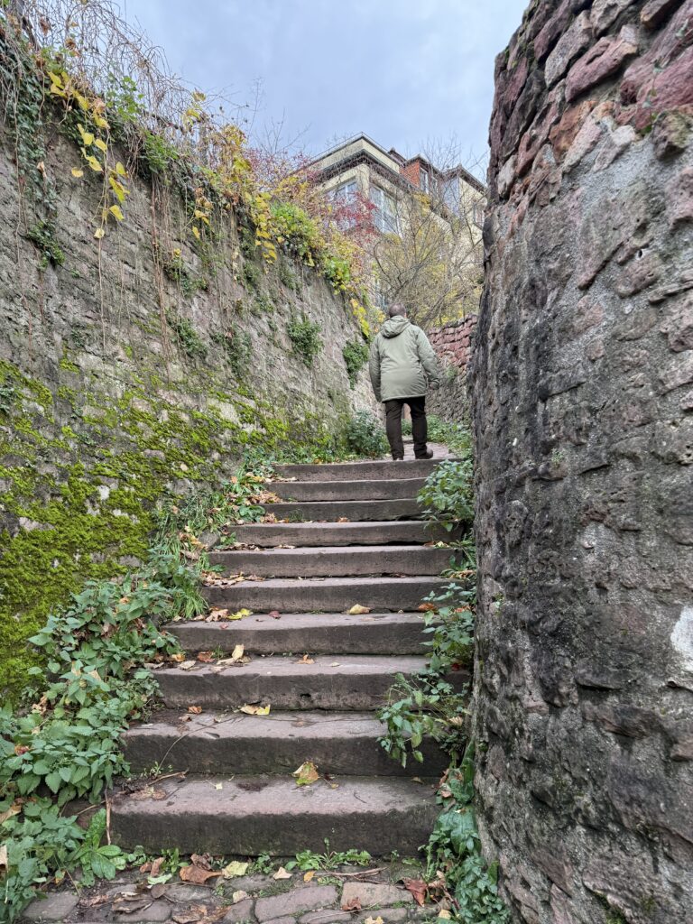 A Complete Heidelberg Germany at Christmas Time Travel Guide | Where to stay in Heidelberg | Best hotels in Heidelberg | 5 star hotels in Heidelberg | Visiting Heidelberg's Christmas Market | Where to eat in Heidelberg | Top 5 things to do in Heidelberg at Christmas Time | Visiting the Heidelberg Castle | Walking the Philosophers Way in Heidelberg | What to see in Heidelberg | How many days should I spend in Heidelberg for the Christmas Markets? | What to wear when visiting Heidelberg Christmas Markets | How to get to Heidelberg | Where else should I visit in Germany after Heidelberg? | Trains in Germany | Reviews of Hutter House - Heidelberg Suites Boutique Hotel