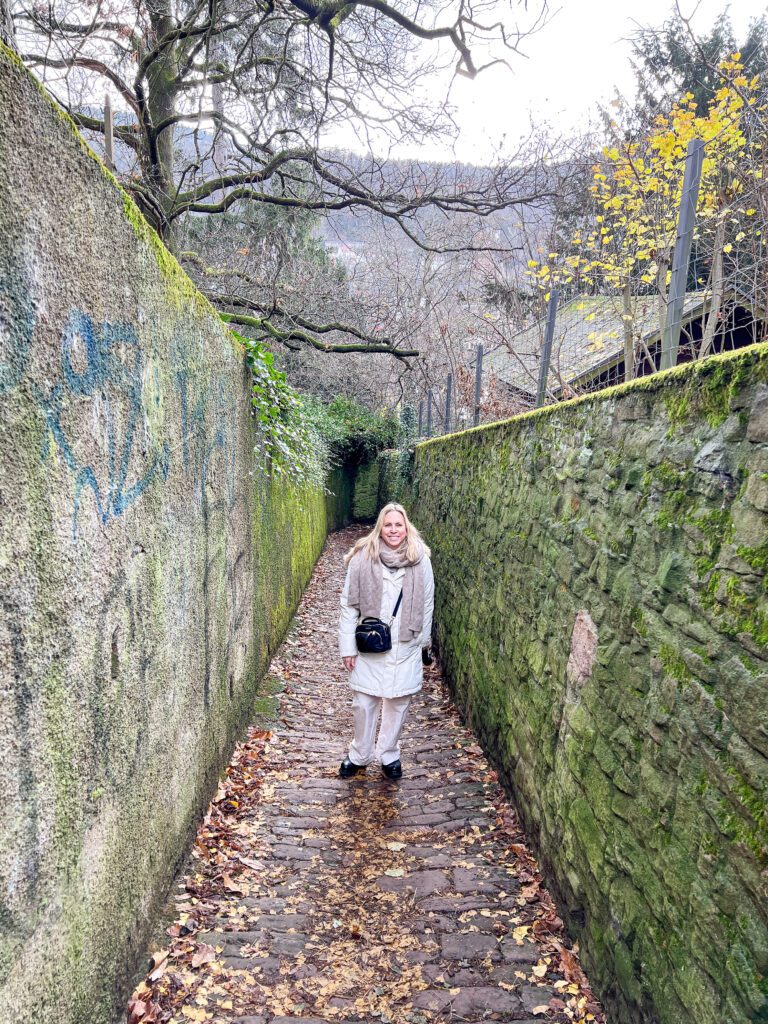A Complete Heidelberg Germany at Christmas Time Travel Guide | Where to stay in Heidelberg | Best hotels in Heidelberg | 5 star hotels in Heidelberg | Visiting Heidelberg's Christmas Market | Where to eat in Heidelberg | Top 5 things to do in Heidelberg at Christmas Time | Visiting the Heidelberg Castle | Walking the Philosophers Way in Heidelberg | What to see in Heidelberg | How many days should I spend in Heidelberg for the Christmas Markets? | What to wear when visiting Heidelberg Christmas Markets | How to get to Heidelberg | Where else should I visit in Germany after Heidelberg? | Trains in Germany