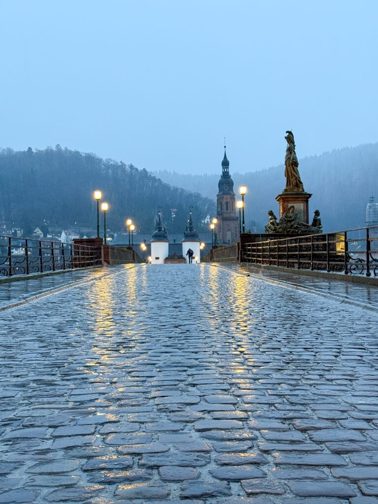 A Complete Heidelberg Germany at Christmas Time Travel Guide | Where to stay in Heidelberg | Best hotels in Heidelberg | 5 star hotels in Heidelberg | Visiting Heidelberg's Christmas Market | Where to eat in Heidelberg | Top 5 things to do in Heidelberg at Christmas Time | Visiting the Heidelberg Castle | Walking the Philosophers Way in Heidelberg | What to see in Heidelberg | How many days should I spend in Heidelberg for the Christmas Markets? | What to wear when visiting Heidelberg Christmas Markets | How to get to Heidelberg | Where else should I visit in Germany after Heidelberg? | Trains in Germany | Reviews of Hutter House - Heidelberg Suites Boutique Hotel