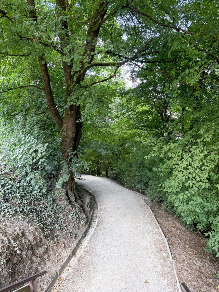 A Ljubljana Slovenia Travel Guide | What to see, do and eat in Ljubljana | Best five star hotel in Ljubljana Slovenia | How many days to visit Slovenia | What are the top sights to see in Ljubljana | Best places to eat in Ljubljana | A ten day Slovenia itinerary including Ljubljana and the Julian Alps | Top things to see in Ljubljana | Best day trips from Ljubljana | What to wear in Slovenia in summer | Top Instagram photo spots in Ljubljana | Best Instaworthy spots in Ljubljana | Where to fly into for Slovenia