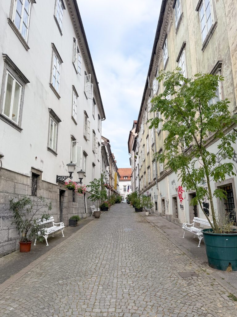 A Ljubljana Slovenia Travel Guide | What to see, do and eat in Ljubljana | Best five star hotel in Ljubljana Slovenia | How many days to visit Slovenia | What are the top sights to see in Ljubljana | Best places to eat in Ljubljana | A ten day Slovenia itinerary including Ljubljana and the Julian Alps | Top things to see in Ljubljana | Best day trips from Ljubljana | What to wear in Slovenia in summer | Top Instagram photo spots in Ljubljana | Best Instaworthy spots in Ljubljana | Where to fly into for Slovenia