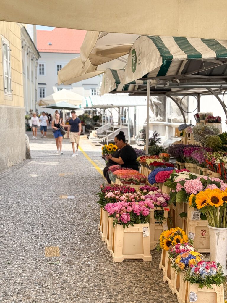 A Ljubljana Slovenia Travel Guide | What to see, do and eat in Ljubljana | Best five star hotel in Ljubljana Slovenia | How many days to visit Slovenia | What are the top sights to see in Ljubljana | Best places to eat in Ljubljana | A ten day Slovenia itinerary including Ljubljana and the Julian Alps | Top things to see in Ljubljana | Best day trips from Ljubljana | What to wear in Slovenia in summer | Top Instagram photo spots in Ljubljana | Best Instaworthy spots in Ljubljana | Where to fly into for Slovenia