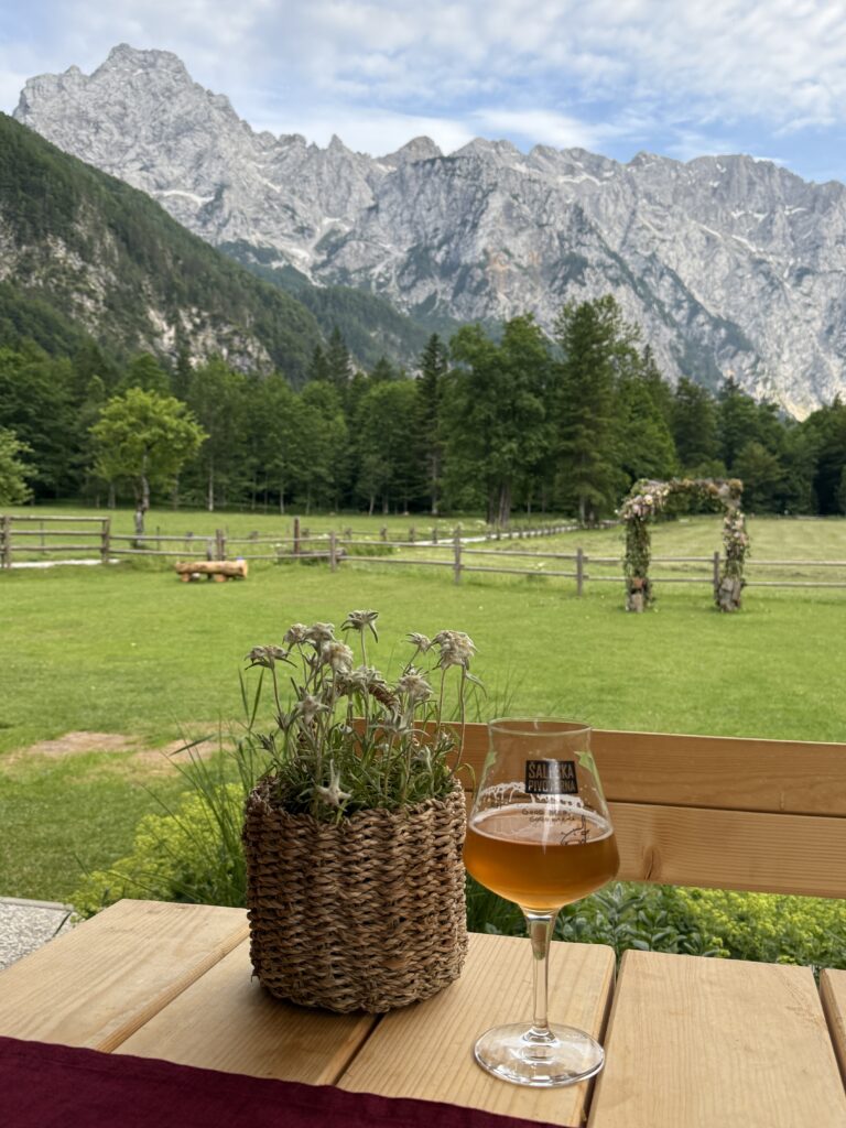 How to spend two days in the Kamnik-Savinja Alps of Slovenia | Where to stay when visiting Kamnik-Savinja Alps | Nicest hotel in the Kamnik Savinja Alps | Nicest hotel in Logar Valley | Where to eat in Logar Valley | Top things to do in Logar Valley | visiting Velika Planina from Logar Valley | two day itinerary for Kamnik-Savinja Alps | How many days do I need in the Kamnik Savinja Alps of Slovenia