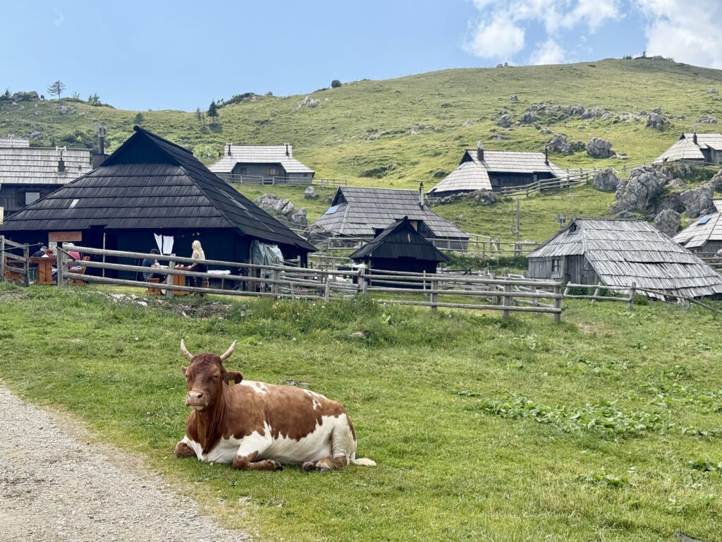 The best guide for a day trip to Velika Planina | What to do for a day trip to Velika Planina | How to do a day trip from Logar Valley to Velika Planina | what to eat on Velika Planina | What to wear at Velika Planina | The best 10 day Slovenia itinerary | How to plan 10 days in Slovenia | What to do with 10 days in Slovenia 