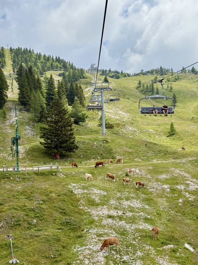 The best guide for a day trip to Velika Planina | What to do for a day trip to Velika Planina | How to do a day trip from Logar Valley to Velika Planina | what to eat on Velika Planina | What to wear at Velika Planina 