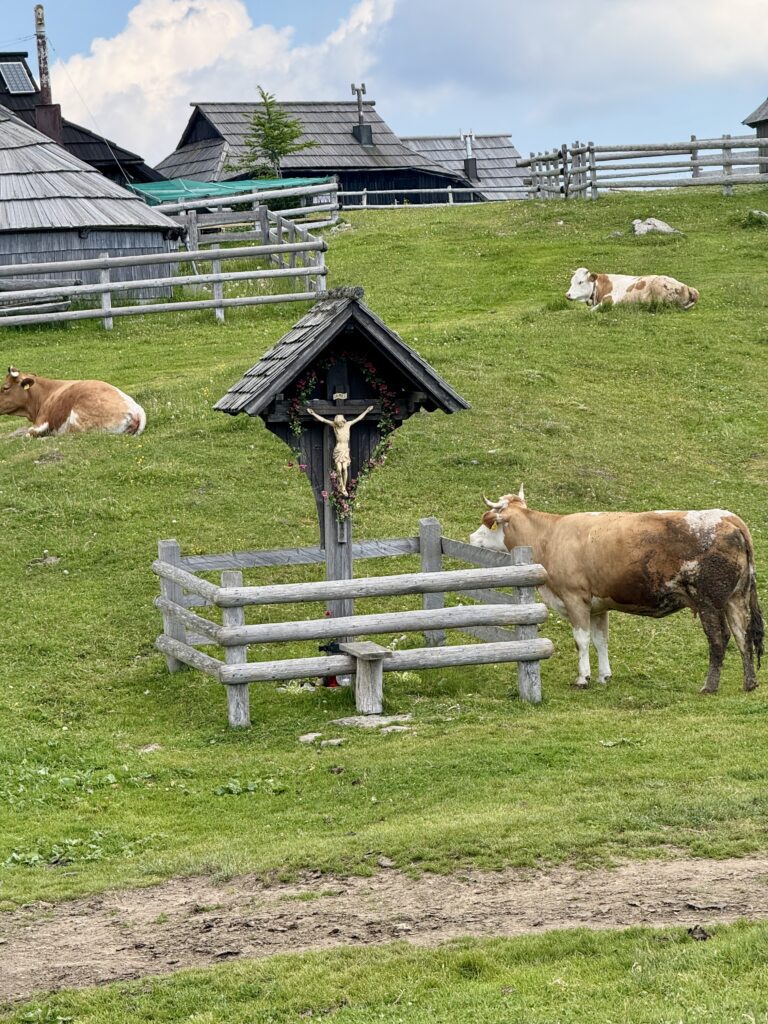 The best guide for a day trip to Velika Planina | What to do for a day trip to Velika Planina | How to do a day trip from Logar Valley to Velika Planina | what to eat on Velika Planina | What to wear at Velika Planina | The best 10 day Slovenia itinerary | How to plan 10 days in Slovenia | What to do with 10 days in Slovenia 
