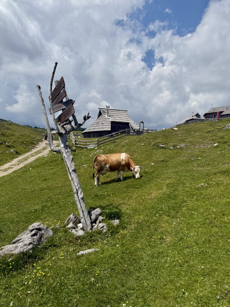 The best guide for a day trip to Velika Planina | What to do for a day trip to Velika Planina | How to do a day trip from Logar Valley to Velika Planina | what to eat on Velika Planina | What to wear at Velika Planina | The best 10 day Slovenia itinerary | How to plan 10 days in Slovenia | What to do with 10 days in Slovenia 