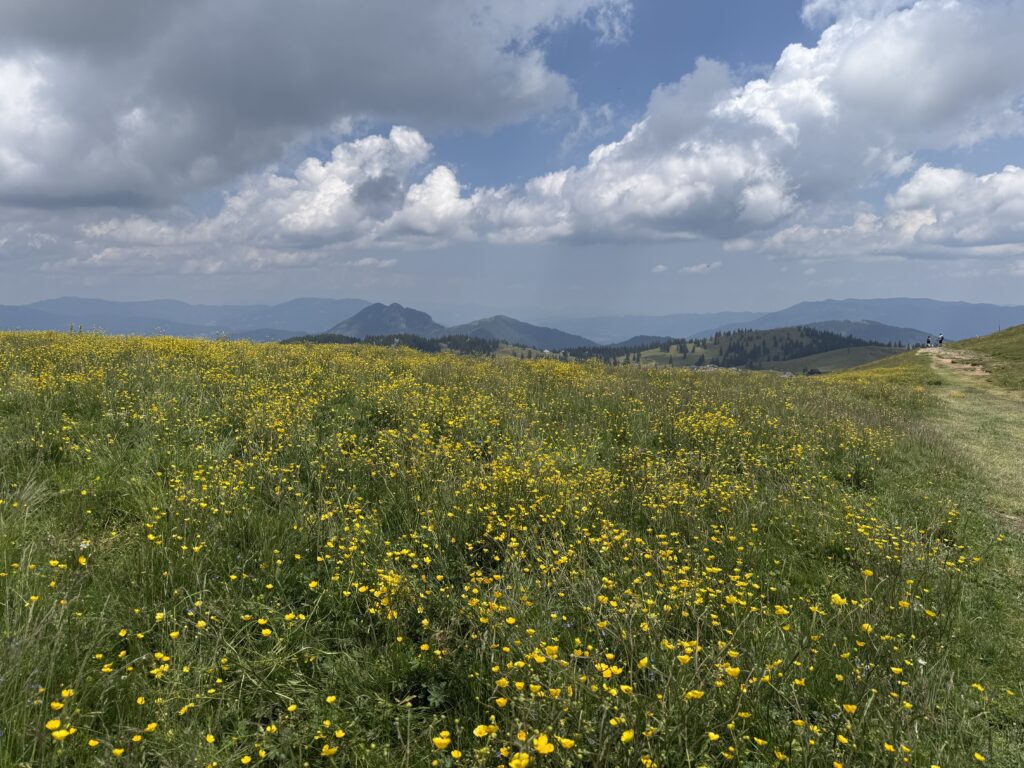 How to spend two days in the Kamnik-Savinja Alps of Slovenia | Where to stay when visiting Kamnik-Savinja Alps | Nicest hotel in the Kamnik Savinja Alps | Nicest hotel in Logar Valley | Where to eat in Logar Valley | Top things to do in Logar Valley | visiting Velika Planina from Logar Valley | two day itinerary for Kamnik-Savinja Alps | How many days do I need in the Kamnik Savinja Alps of Slovenia