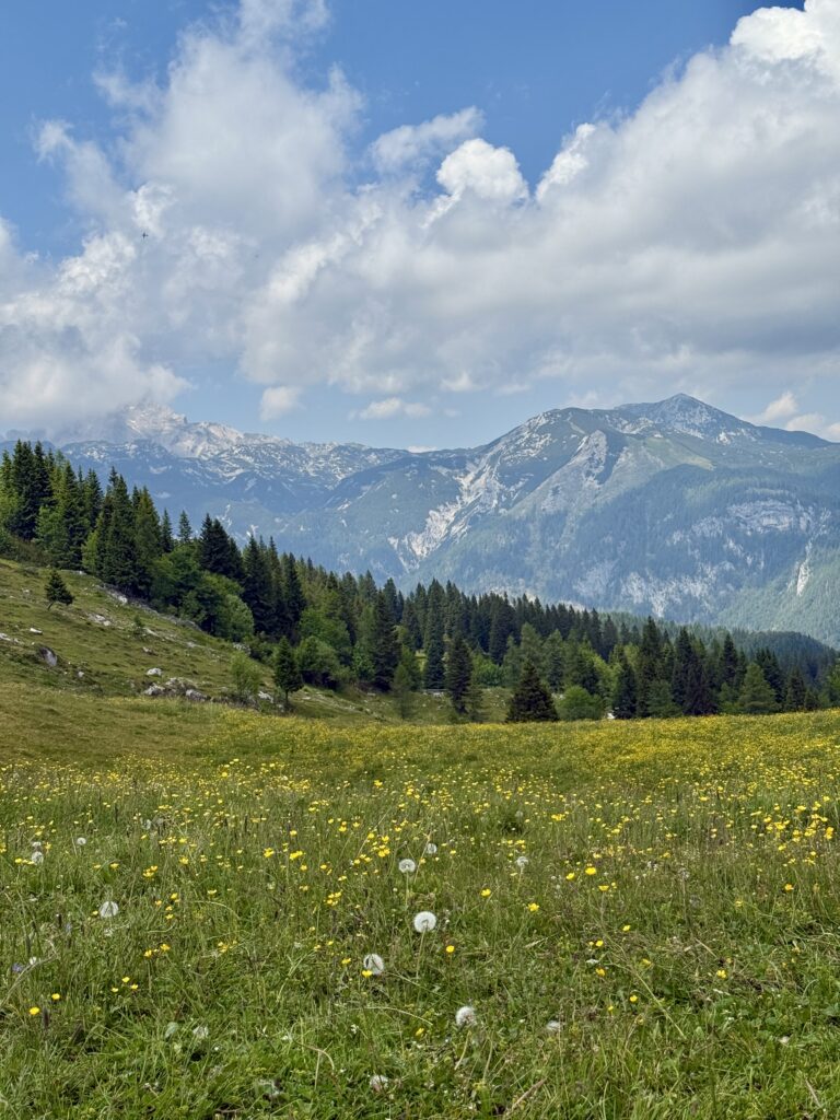 The best guide for a day trip to Velika Planina | What to do for a day trip to Velika Planina | How to do a day trip from Logar Valley to Velika Planina | what to eat on Velika Planina | What to wear at Velika Planina | How to do a day trip to Velika Planina from Logar Valley | A Ten Day Slovenia Itinerary | The best 10 day itinerary for Slovenia 