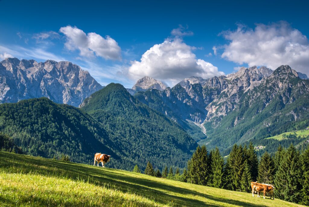 How to spend two days in the Kamnik-Savinja Alps of Slovenia | Where to stay when visiting Kamnik-Savinja Alps | Nicest hotel in the Kamnik Savinja Alps | Nicest hotel in Logar Valley | Where to eat in Logar Valley | Top things to do in Logar Valley | visiting Velika Planina from Logar Valley | two day itinerary for Kamnik-Savinja Alps | How many days do I need in the Kamnik Savinja Alps of Slovenia | Solcava Panoramic Road views