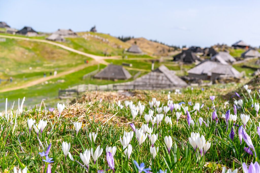 The best guide for a day trip to Velika Planina | What to do for a day trip to Velika Planina | How to do a day trip from Logar Valley to Velika Planina | what to eat on Velika Planina | What to wear at Velika Planina | The best 10 day Slovenia itinerary | How to plan 10 days in Slovenia | What to do with 10 days in Slovenia 