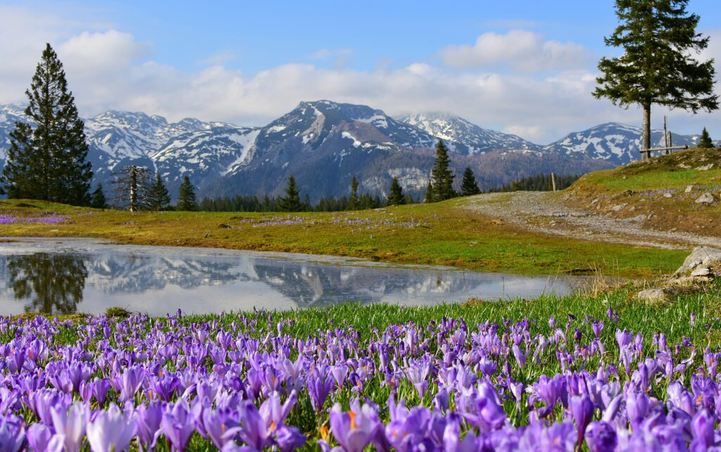 The best guide for a day trip to Velika Planina | What to do for a day trip to Velika Planina | How to do a day trip from Logar Valley to Velika Planina | what to eat on Velika Planina | What to wear at Velika Planina | How to do a day trip to Velika Planina from Logar Valley | A Ten Day Slovenia Itinerary | The best 10 day itinerary for Slovenia 