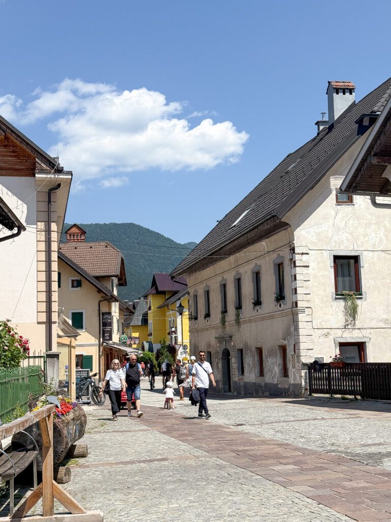Slowing down in the Julian Alps of Slovenia | Where to stay to visit the Julian Alps in Slovenia | How long to spend at Lake Bled | Where to stay outside of Lake Bled | What to do in the Julian Alps | Best hotels in the Julian Alps | Where to eat in the Julian Alps | Top 5 things to do in the Julian Alps | How to spend two days in the Julian Alps | How much time to spend in the Julian Alps | Renting a car in Slovenia