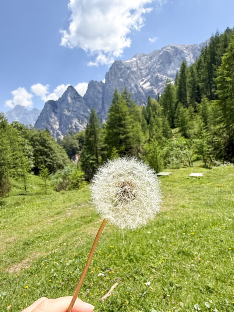 Slowing down in the Julian Alps of Slovenia | Where to stay to visit the Julian Alps in Slovenia | How long to spend at Lake Bled | Where to stay outside of Lake Bled | What to do in the Julian Alps | Best hotels in the Julian Alps | Where to eat in the Julian Alps | Top 5 things to do in the Julian Alps | How to spend two days in the Julian Alps | How much time to spend in the Julian Alps | Renting a car in Slovenia
