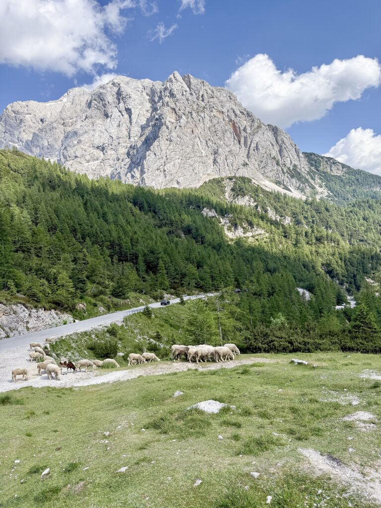 Slowing down in the Julian Alps of Slovenia | Where to stay to visit the Julian Alps in Slovenia | How long to spend at Lake Bled | Where to stay outside of Lake Bled | What to do in the Julian Alps | Best hotels in the Julian Alps | Where to eat in the Julian Alps | Top 5 things to do in the Julian Alps | How to spend two days in the Julian Alps | How much time to spend in the Julian Alps | Renting a car in Slovenia