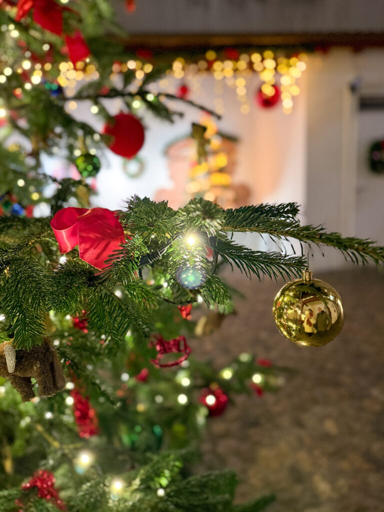 Basel Switzerland at Christmas TIme - A Complete Guide | Why I will always take a European Christmas Market trip every year | Top European Christmas Market to avoid massive crowds | Best Christmas Markets in Switzerland | Reasons to book a Flytographer photo shoot in Europe at Christmas time | Best five star hotels in Basel Switzerland | Top things to see and do in Basel at Christmas time | What to wear to the Basel Christmas market | How many days to spend in Basel for Christmas market trip | Where to find the Magical Christmas Courtyards in Basel | Visiting Basel Minster and what you need to know before climbing the tower | Visiting the Christmas Market in Basel | Reviews of Grand Hotel Les Trois Rois in Basel 