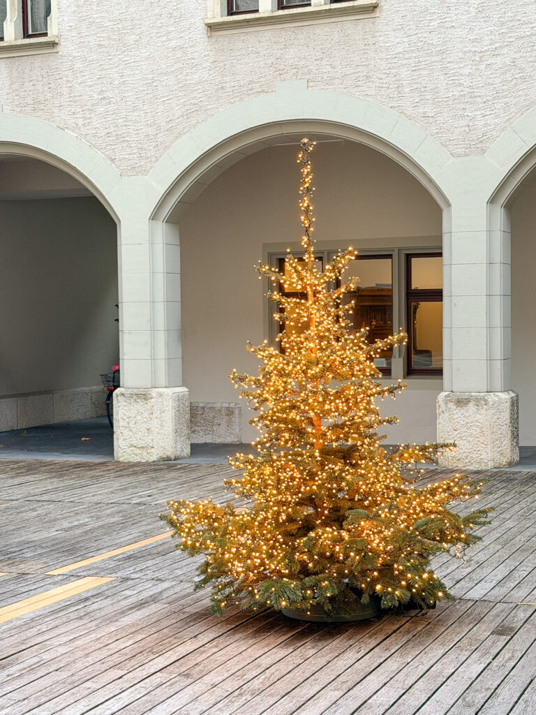 Basel Switzerland at Christmas TIme - A Complete Guide | Why I will always take a European Christmas Market trip every year | Top European Christmas Market to avoid massive crowds | Best Christmas Markets in Switzerland | Reasons to book a Flytographer photo shoot in Europe at Christmas time | Best five star hotels in Basel Switzerland | Top things to see and do in Basel at Christmas time | What to wear to the Basel Christmas market | How many days to spend in Basel for Christmas market trip | Where to find the Magical Christmas Courtyards in Basel 