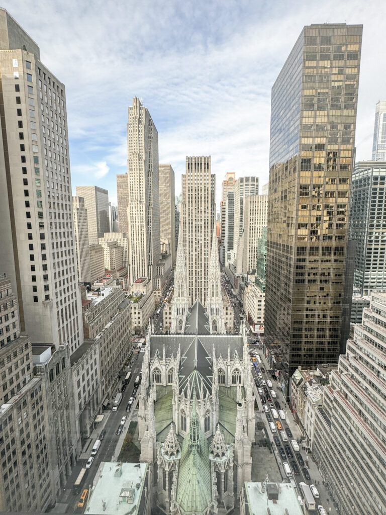 Top Luxury Hotels in NYC | Where to stay in NYC | Best neighborhood to stay at in New York City | Best hotels in New York City | What is the best luxury hotel at a reasonable price to stay at in NYC | Recommended neighborhoods to stay at in Manhattan | Best hotel in Manhattan for Christmas time visits 