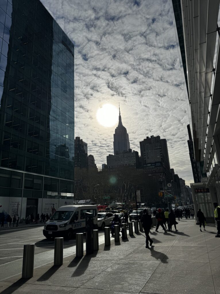 Top Luxury Hotels in NYC | Where to stay in NYC | Best neighborhood to stay at in New York City | Best hotels in New York City | What is the best luxury hotel at a reasonable price to stay at in NYC | Recommended neighborhoods to stay at in Manhattan | Best hotel in Manhattan for Christmas time visits | Where to stay in the Lower East Side of Manhattan | Where to stay in downtown Manhattan | Best luxury hotels in SOHO 