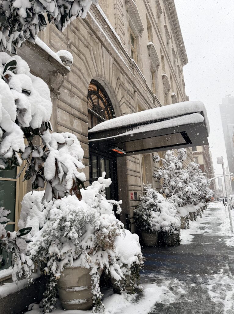 Top Luxury Hotels in NYC | Where to stay in NYC | Best neighborhood to stay at in New York City | Best hotels in New York City | What is the best luxury hotel at a reasonable price to stay at in NYC | Recommended neighborhoods to stay at in Manhattan | Best hotel in Manhattan for Christmas time visits | Where to stay in the Lower East Side of Manhattan | Where to stay in downtown Manhattan | Best luxury hotels in SOHO 