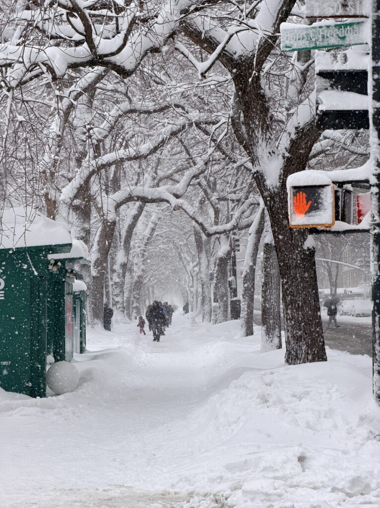 Top Luxury Hotels in NYC | Where to stay in NYC | Best neighborhood to stay at in New York City | Best hotels in New York City | What is the best luxury hotel at a reasonable price to stay at in NYC | Recommended neighborhoods to stay at in Manhattan | Best hotel in Manhattan for Christmas time visits | Where to stay in the Lower East Side of Manhattan | Where to stay in downtown Manhattan | Best luxury hotels in SOHO 